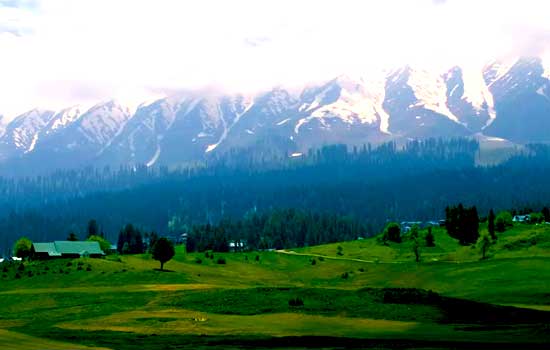 Fabulous Srinagar Family Package